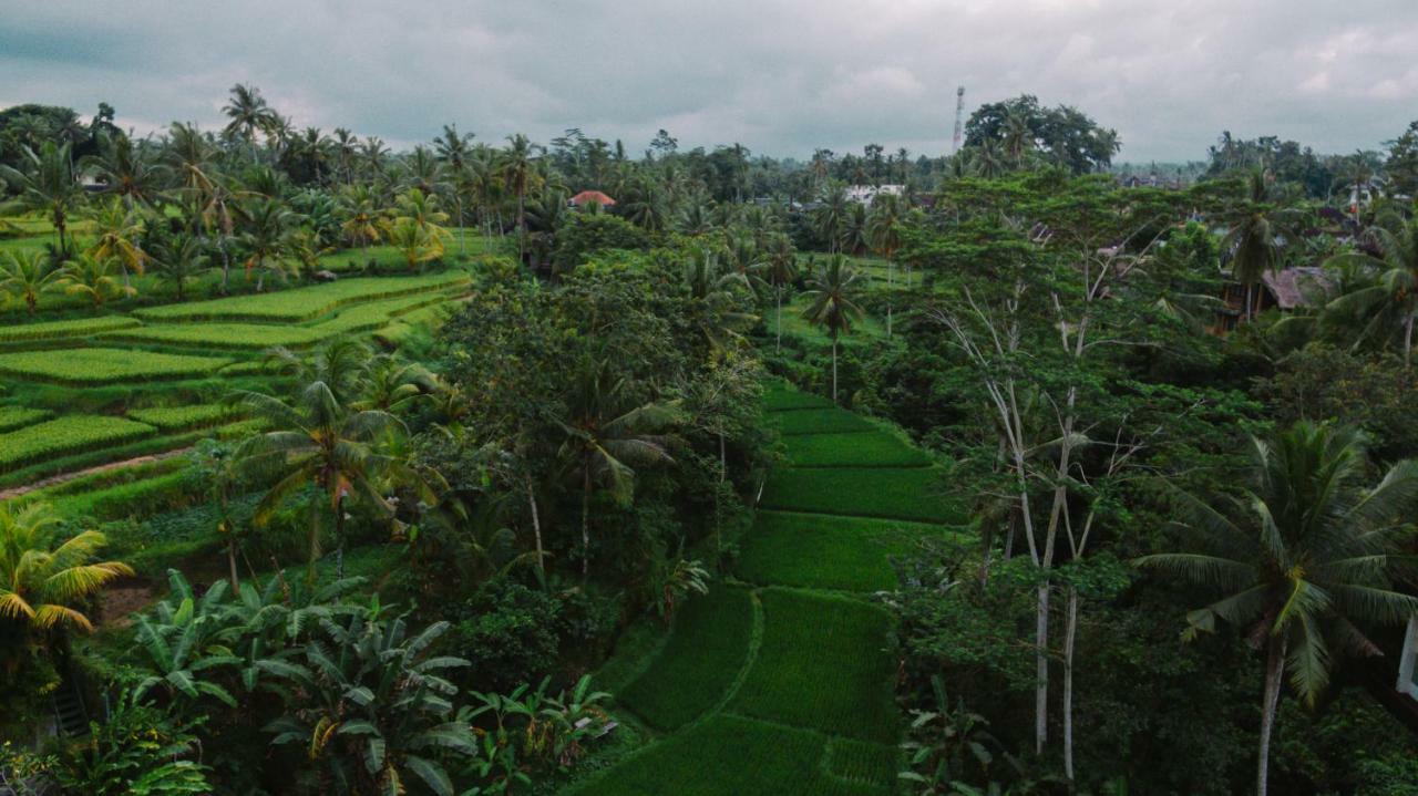 River Sakti By Prasi Hotel